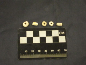 Shell Beads