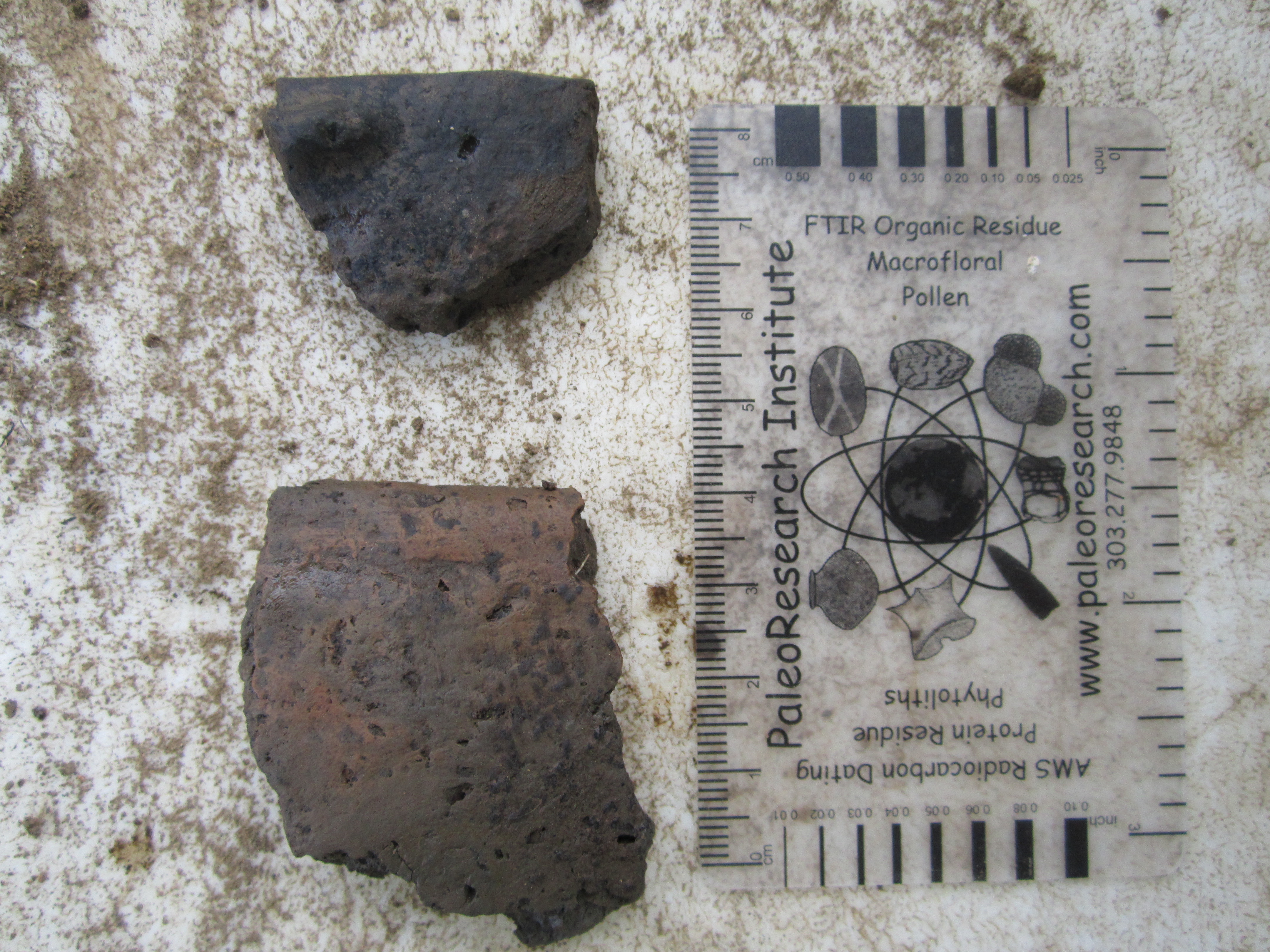 Rim Sherds from 61015